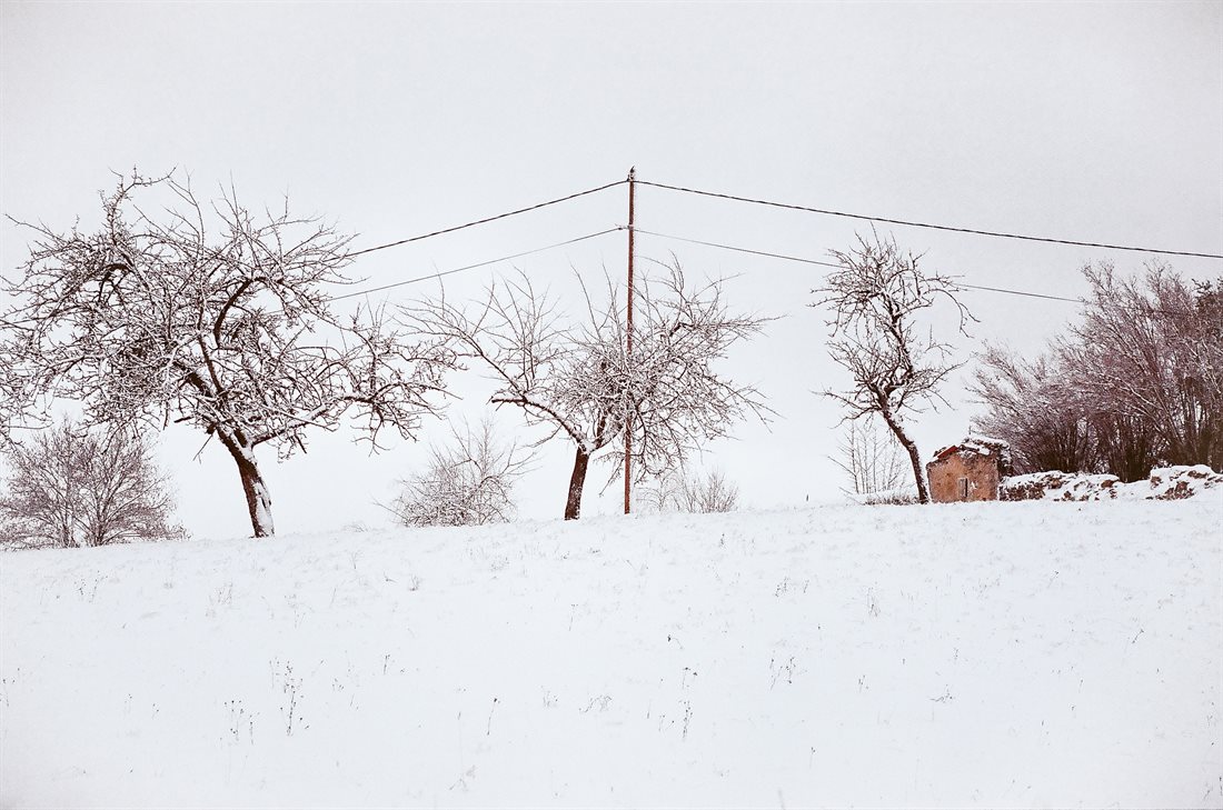 Paysage enneigé graphique, Haute-Loire, trois arbres noueux, un poteau et deux fils électriques incurvés, petite bâtisse en ruine, ciel gris bouché